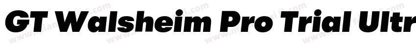GT Walsheim Pro Trial Ultra Bold Re字体转换